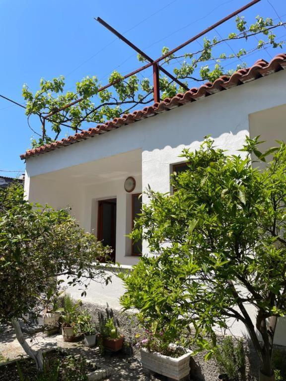 Vila Cano Boutique Durrës Exterior foto